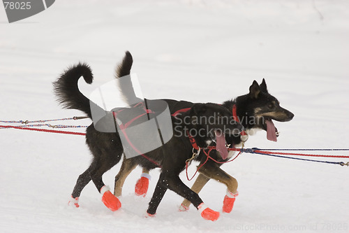 Image of Red boots