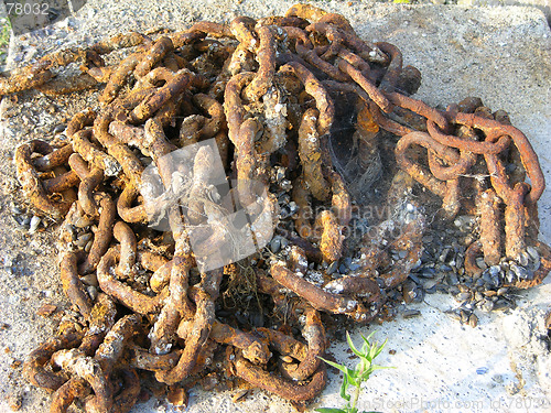 Image of Chain