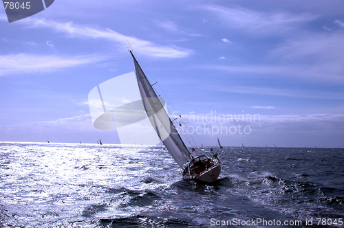 Image of regatta