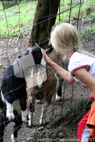 Image of In the zoo