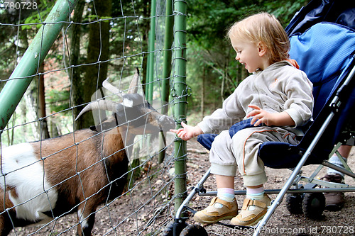 Image of In the zoo