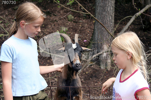 Image of In the zoo