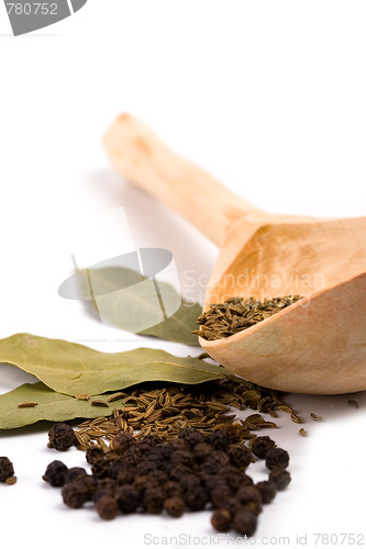 Image of spices