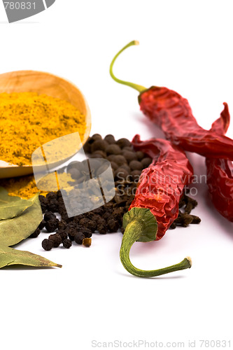 Image of spices