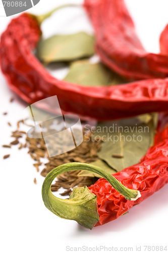 Image of pimento, caraway and bay leaves