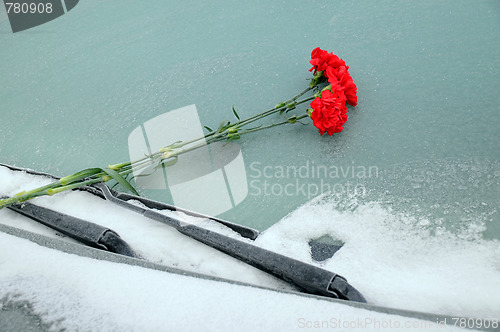 Image of Bunch of Carnations On Car Windshield