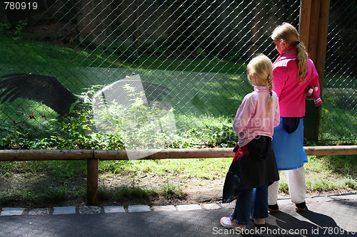 Image of In the zoo