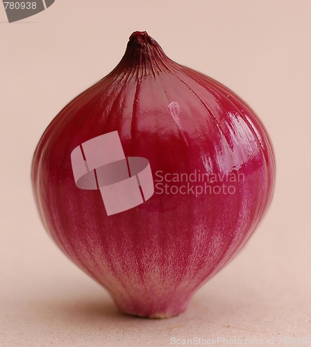 Image of Onion.