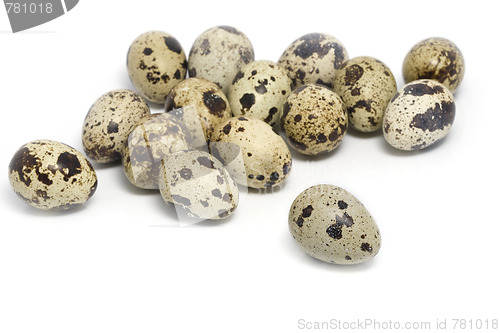 Image of Quail eggs close-up