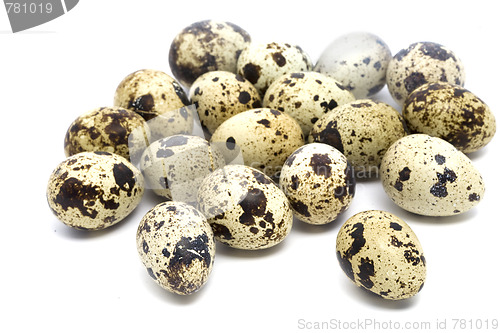 Image of Quail eggs close-up