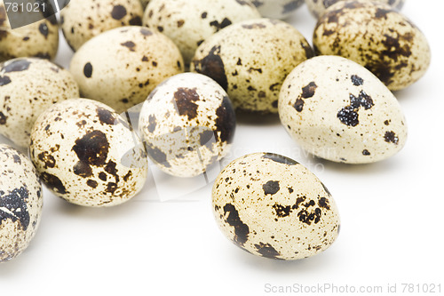 Image of Quail eggs close-up