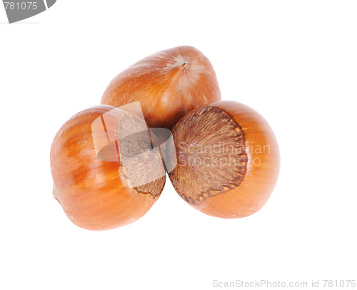 Image of hazelnuts