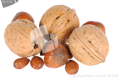 Image of hazelnuts and walnuts