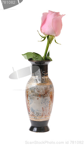 Image of pink rose