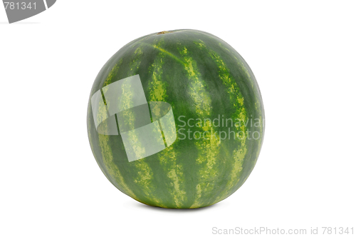 Image of Watermelon