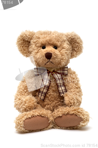 Image of Teddy Bear