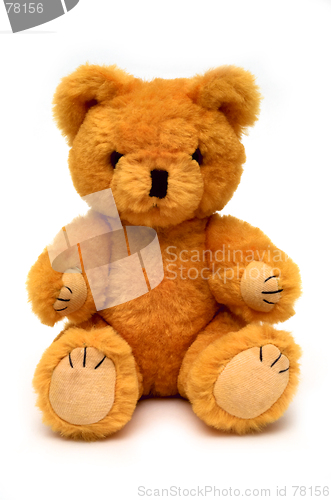 Image of Teddy Bear