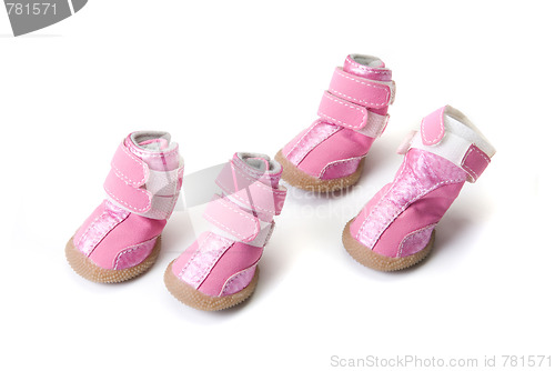 Image of Pink Dogs boots