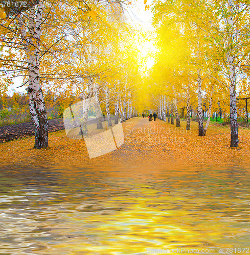 Image of Sunlight