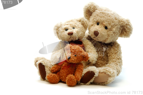 Image of Teddy Bears