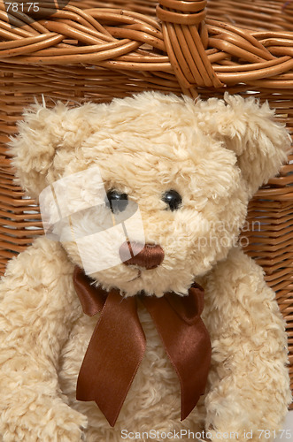 Image of Teddy Bear