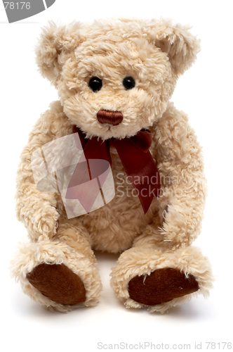 Image of Teddy Bear