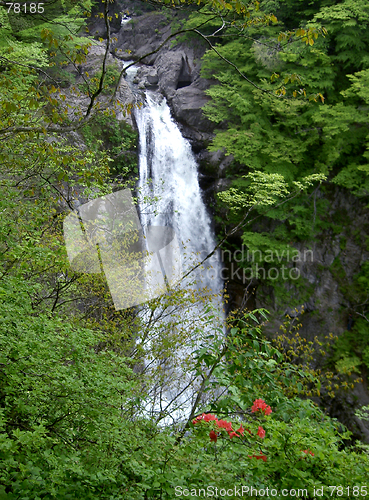 Image of Waterfall In Forest