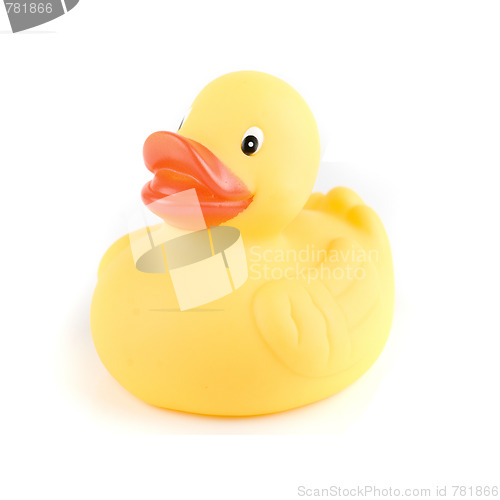 Image of yellow duck