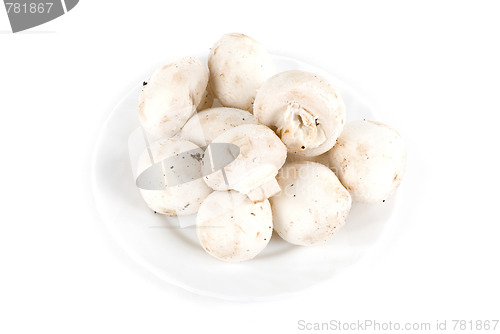 Image of champignon