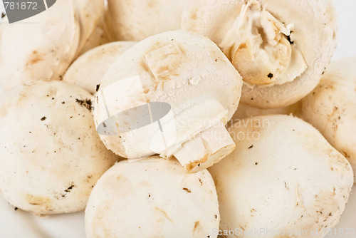 Image of champignons