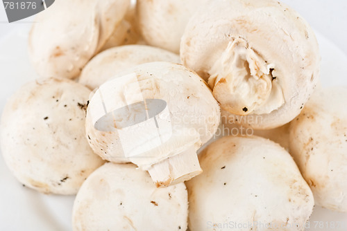 Image of champignon
