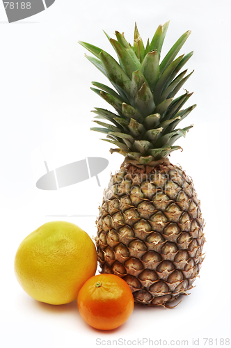 Image of Pineapple, grapefruit and mandarin