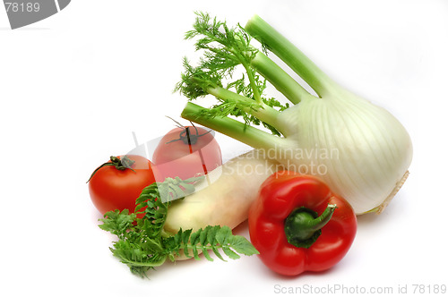 Image of Fennel, radish, red paprika and tomatoes