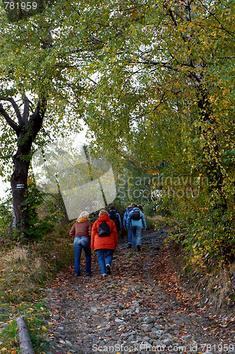 Image of Autumnal walk