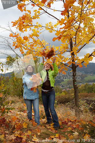 Image of Autumn