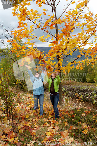Image of Autumn