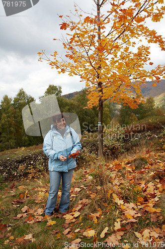 Image of Autumn