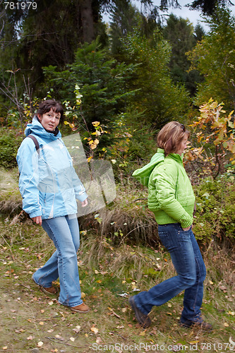 Image of Autumnal walk