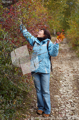 Image of Autumn