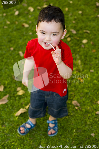 Image of boy with lolli in the park