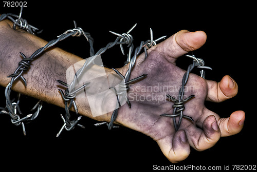 Image of hand grabbing a barbed wire