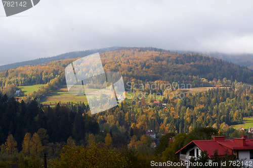 Image of Autumn