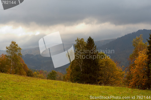 Image of Autumn