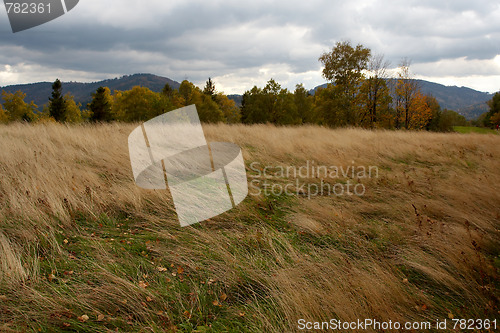 Image of Autumn