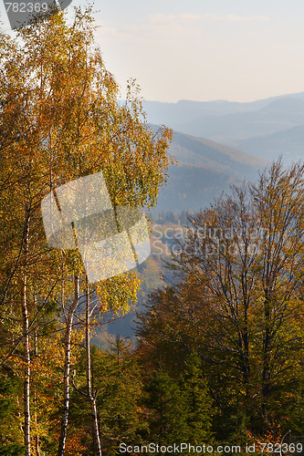 Image of Autumn