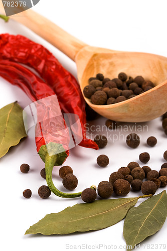 Image of spices