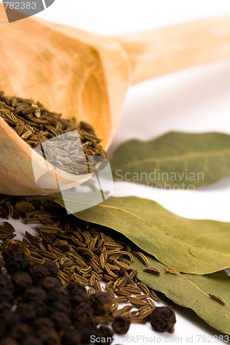 Image of spices