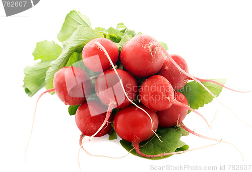 Image of Fresh radishes