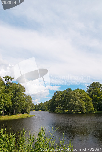 Image of Summer pond under cloudy sky