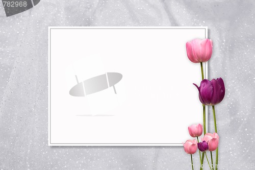 Image of Pink Tulip Frame